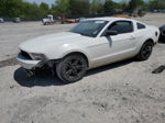 2011 Ford Mustang  White vin: 1ZVBP8AMXB5152892