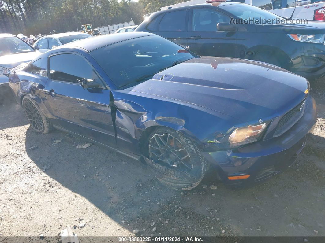 2011 Ford Mustang V6 Dark Blue vin: 1ZVBP8AMXB5168736