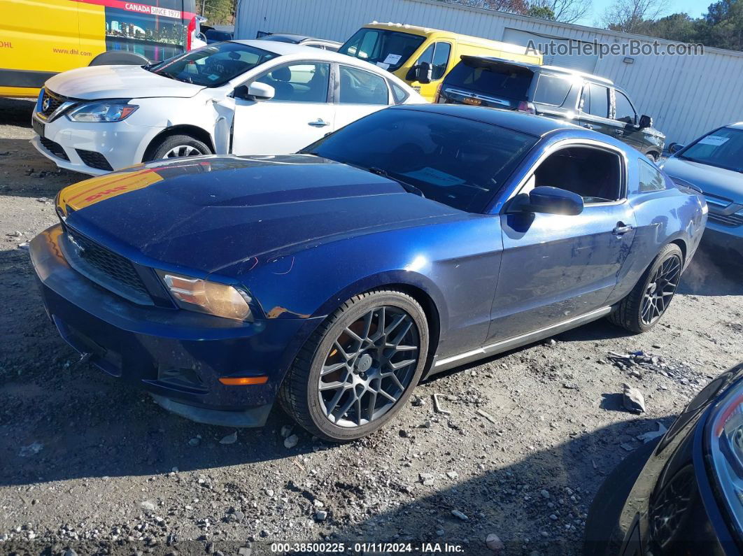 2011 Ford Mustang V6 Dark Blue vin: 1ZVBP8AMXB5168736