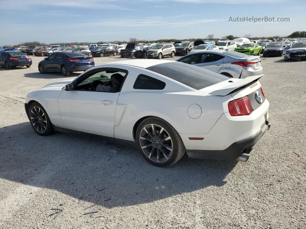 2011 Ford Mustang Gt White vin: 1ZVBP8CF0B5123190