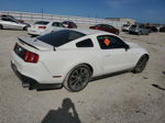 2011 Ford Mustang Gt Белый vin: 1ZVBP8CF0B5123190