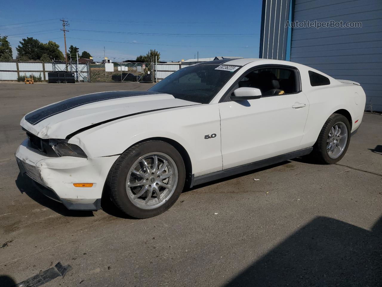 2011 Ford Mustang Gt White vin: 1ZVBP8CF1B5141987