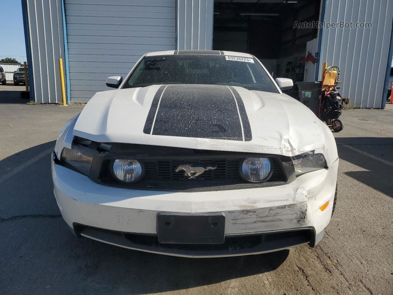 2011 Ford Mustang Gt White vin: 1ZVBP8CF1B5141987