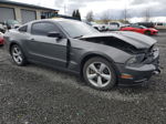 2014 Ford Mustang Gt Charcoal vin: 1ZVBP8CF1E5278304