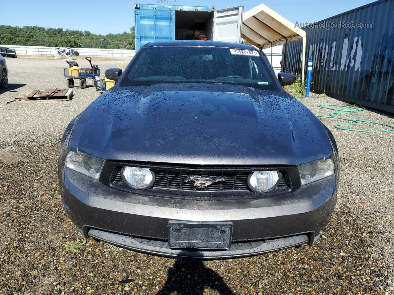 2011 Ford Mustang Gt Gray vin: 1ZVBP8CF2B5115298