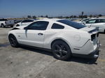 2011 Ford Mustang Gt White vin: 1ZVBP8CF2B5132067