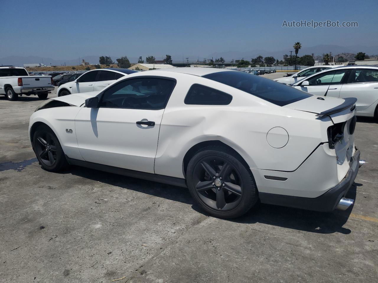 2011 Ford Mustang Gt Белый vin: 1ZVBP8CF2B5132067