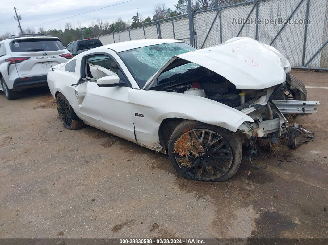 2011 Ford Mustang Gt Premium White vin: 1ZVBP8CF2B5140606