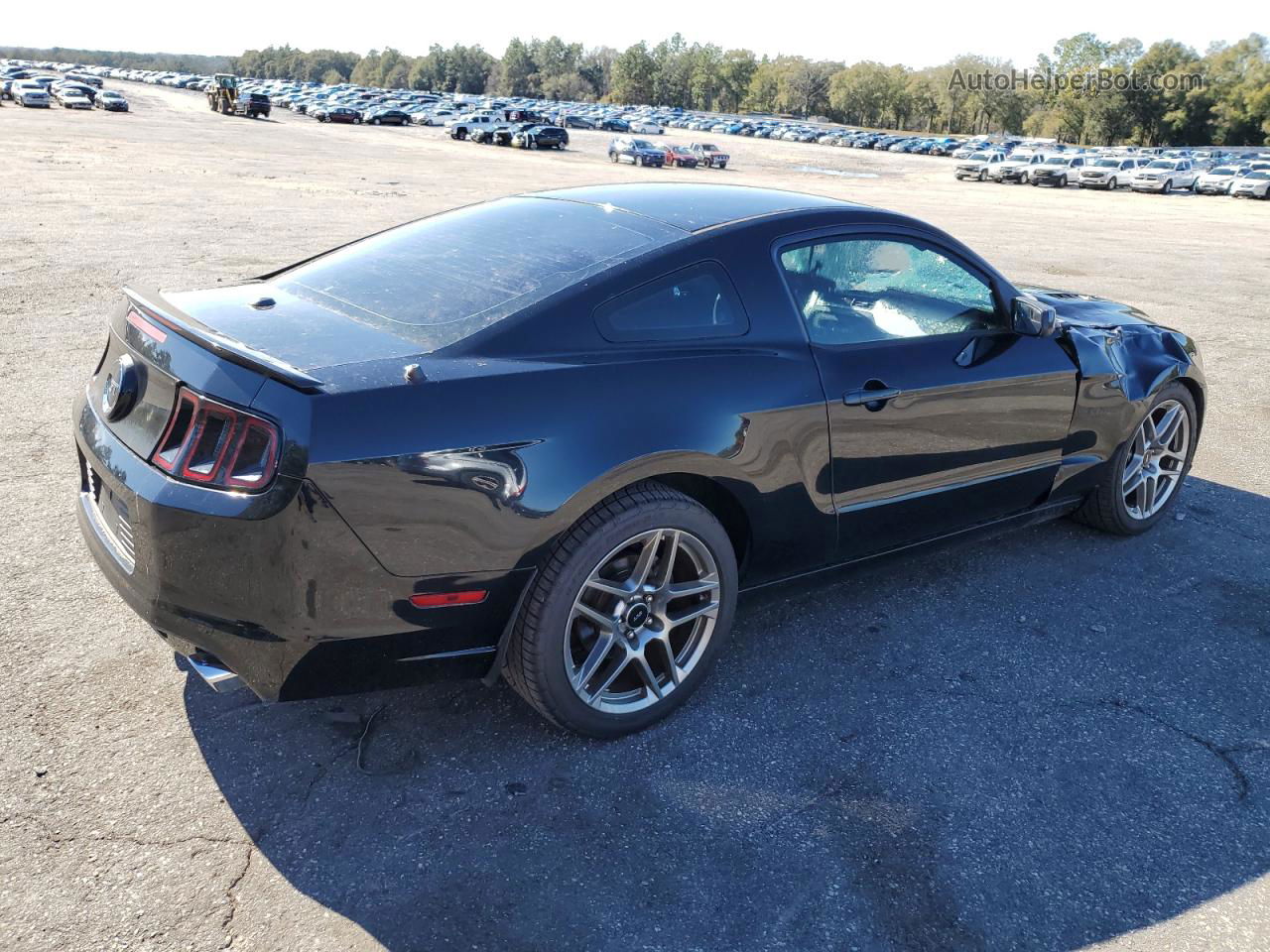 2014 Ford Mustang Gt Black vin: 1ZVBP8CF2E5239057