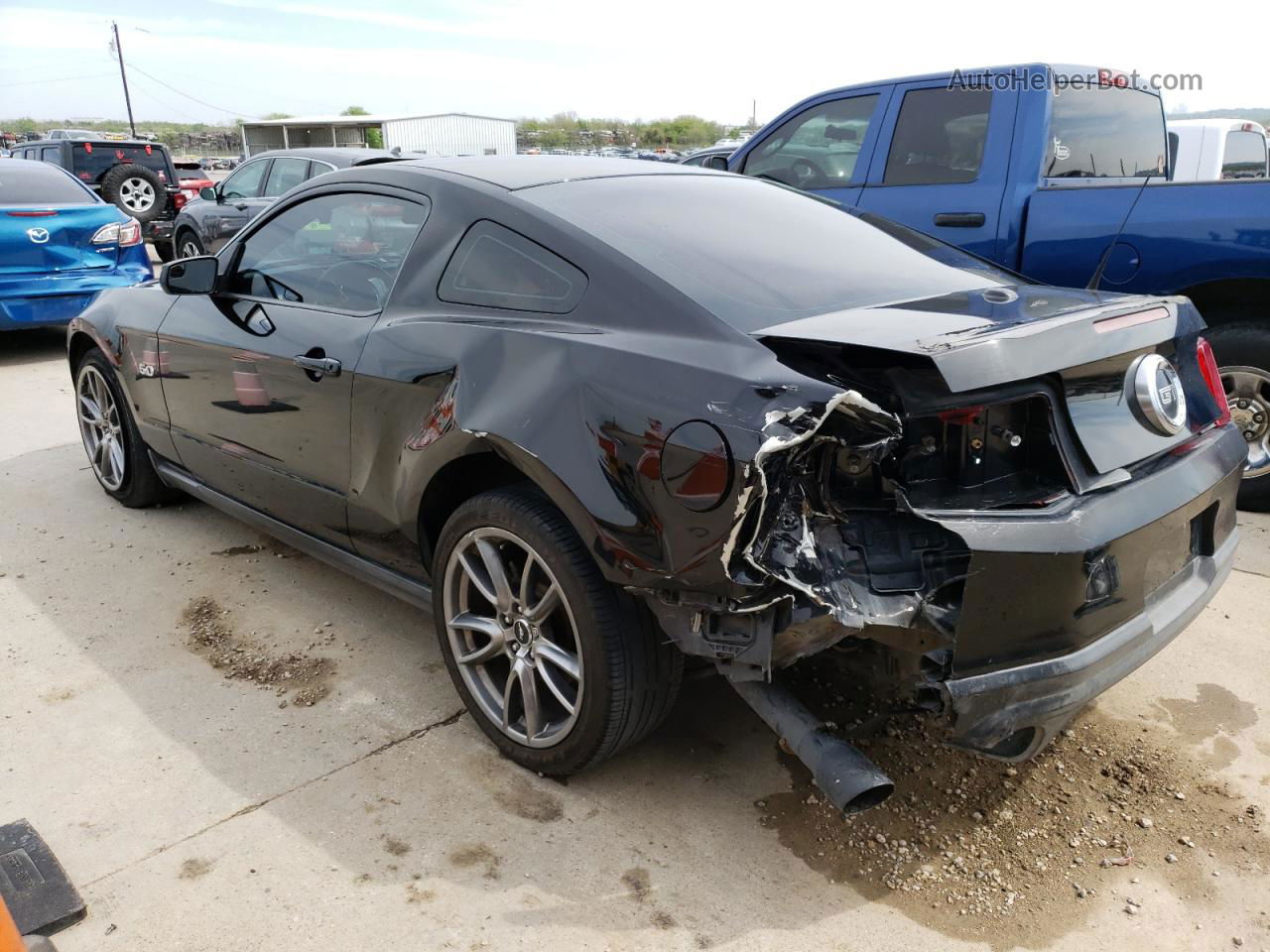 2011 Ford Mustang Gt Черный vin: 1ZVBP8CF3B5117108