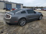 2011 Ford Mustang Gt Серый vin: 1ZVBP8CF3B5138573