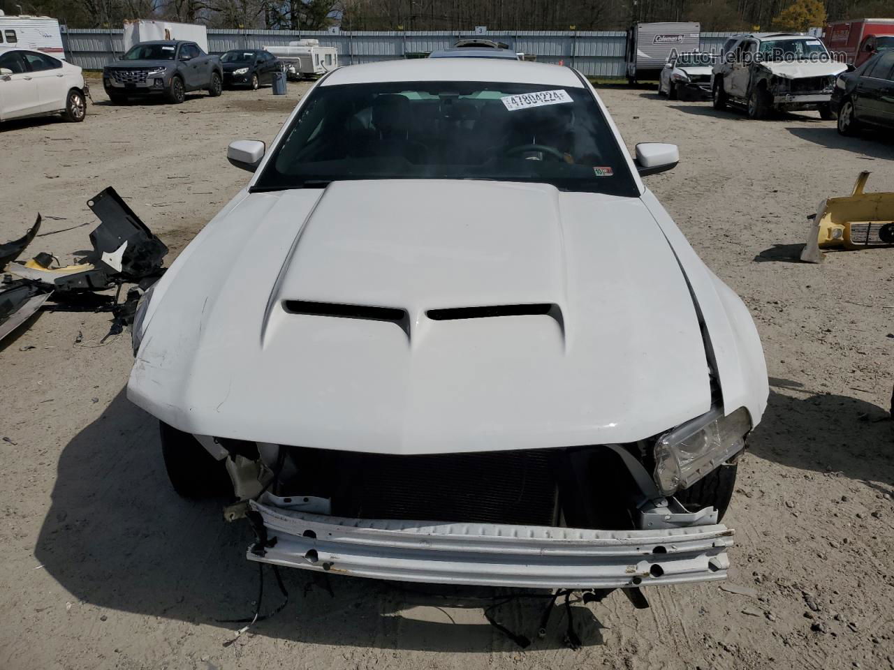 2011 Ford Mustang Gt White vin: 1ZVBP8CF4B5168083