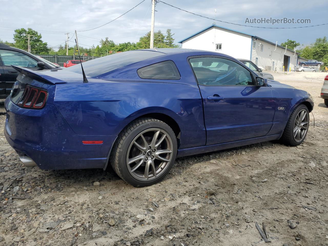 【ブルヘッド】 Price & History 2014 Ford Mustang Gt 5.0l 8 vin