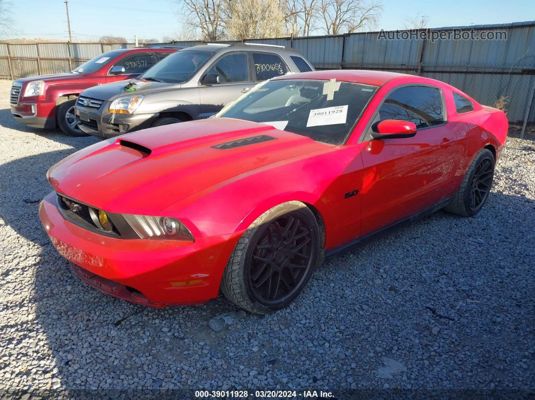 2011 Ford Mustang Gt Premium Красный vin: 1ZVBP8CF5B5106174