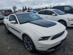 2011 Ford Mustang Gt Белый vin: 1ZVBP8CF5B5138106