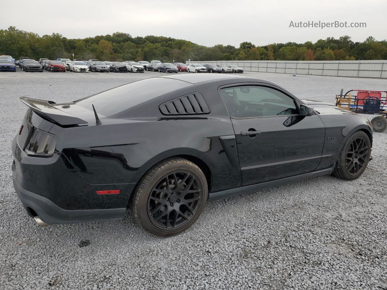 2011 Ford Mustang Gt Black vin: 1ZVBP8CF5B5162812