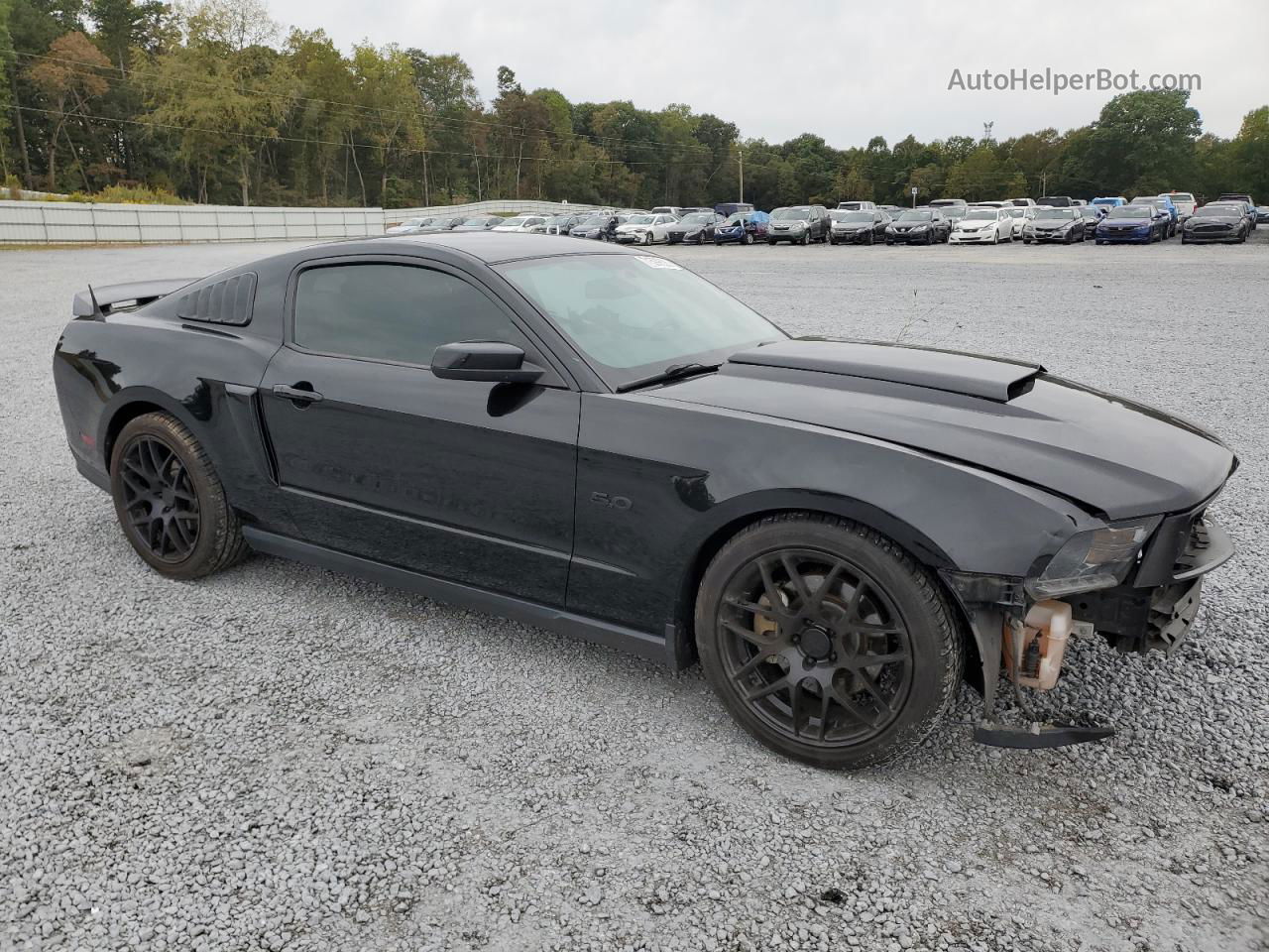 2011 Ford Mustang Gt Black vin: 1ZVBP8CF5B5162812