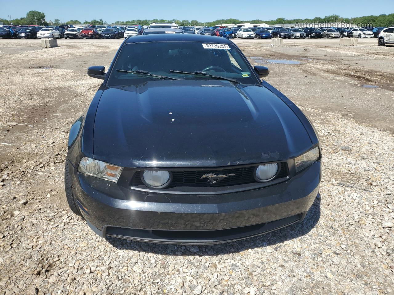 2011 Ford Mustang Gt Black vin: 1ZVBP8CF6B5116485