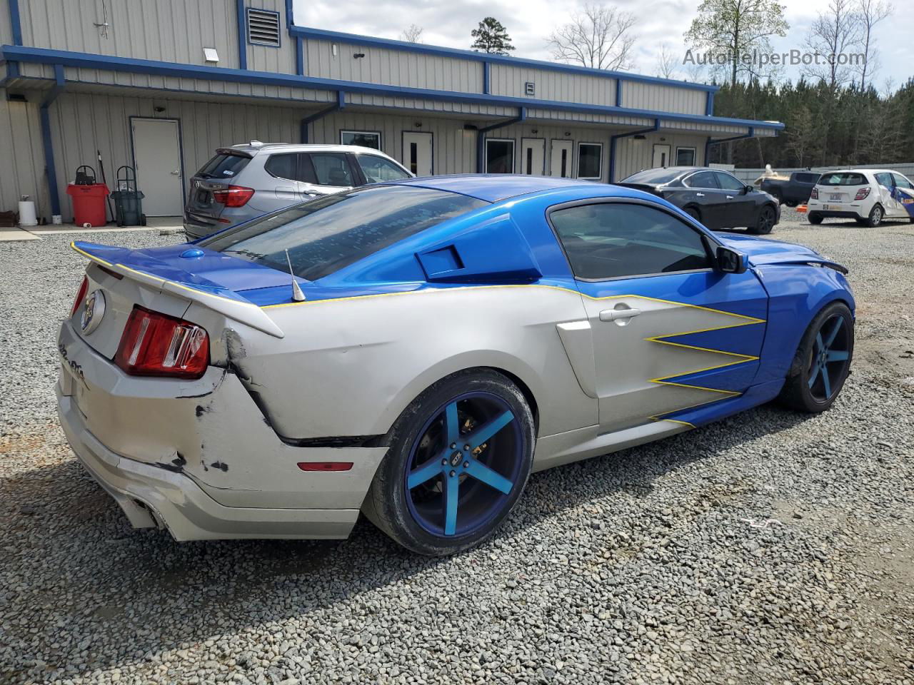 2011 Ford Mustang Gt Двухцветный vin: 1ZVBP8CF6B5144125