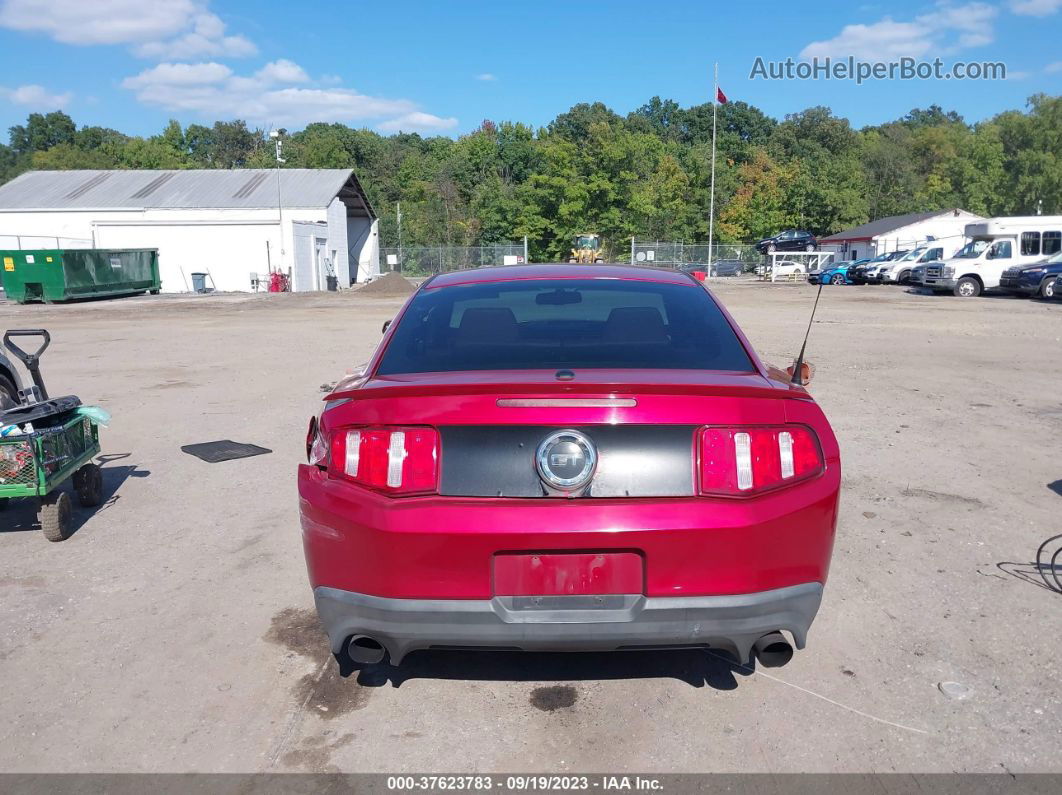 2011 Ford Mustang Gt Premium Красный vin: 1ZVBP8CF7B5133604