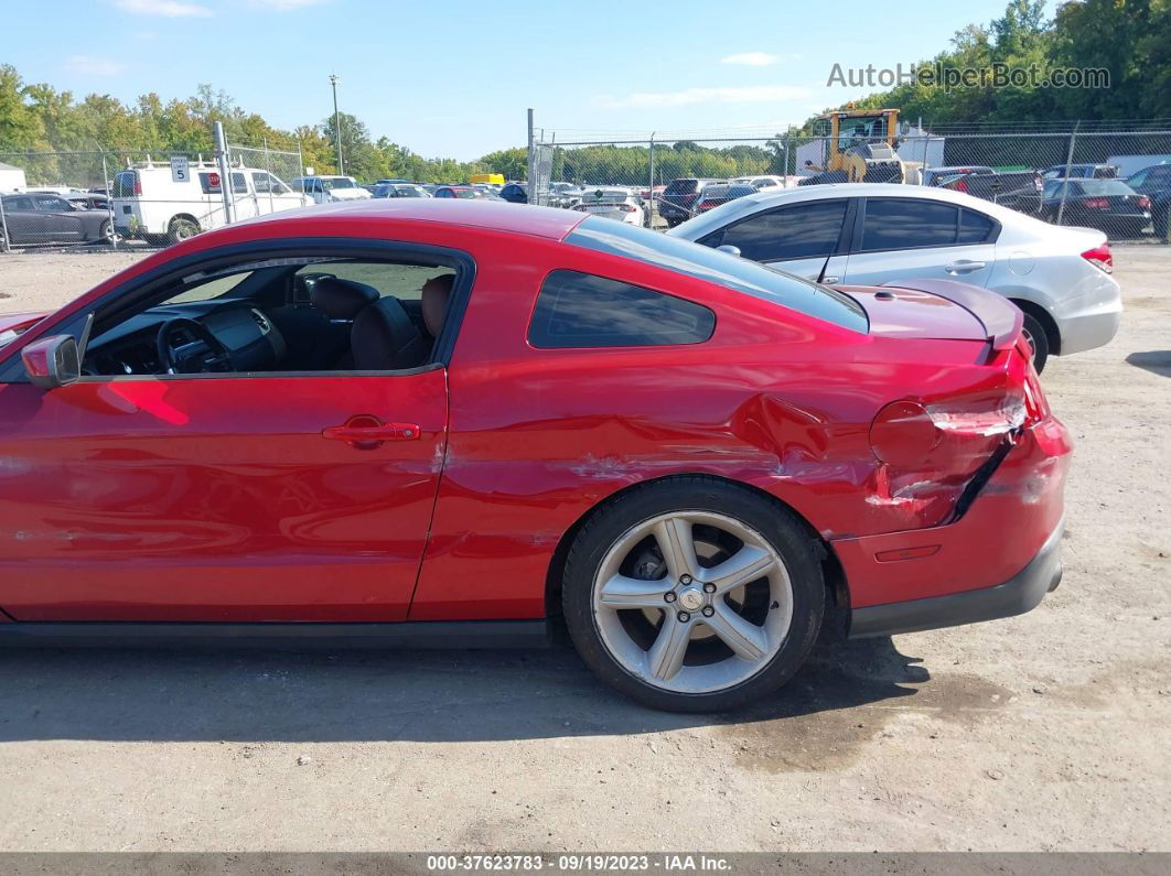 2011 Ford Mustang Gt Premium Красный vin: 1ZVBP8CF7B5133604