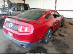 2011 Ford Mustang Gt Red vin: 1ZVBP8CF9B5161551