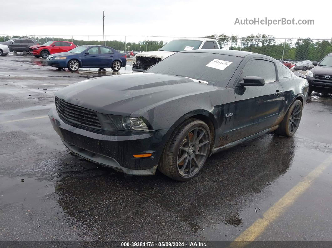 2011 Ford Mustang Gt Черный vin: 1ZVBP8CF9B5168340