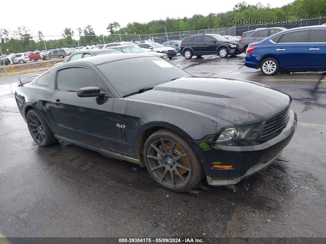 2011 Ford Mustang Gt Черный vin: 1ZVBP8CF9B5168340