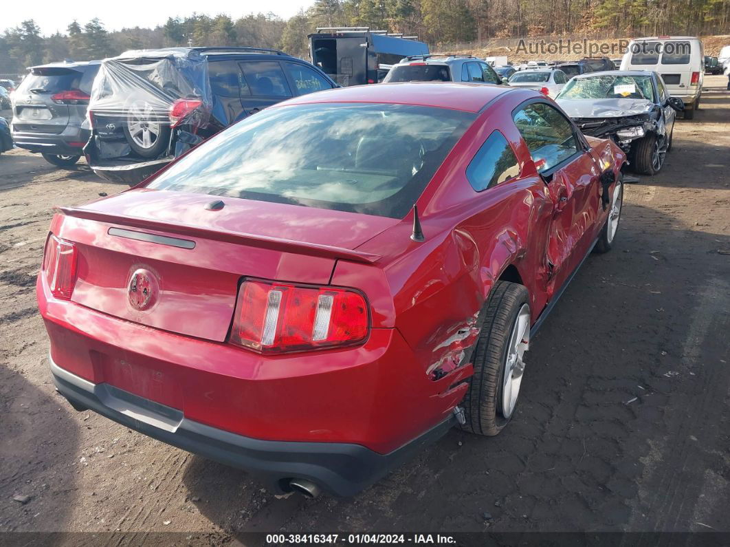 2011 Ford Mustang Gt Premium Красный vin: 1ZVBP8CFXB5129871