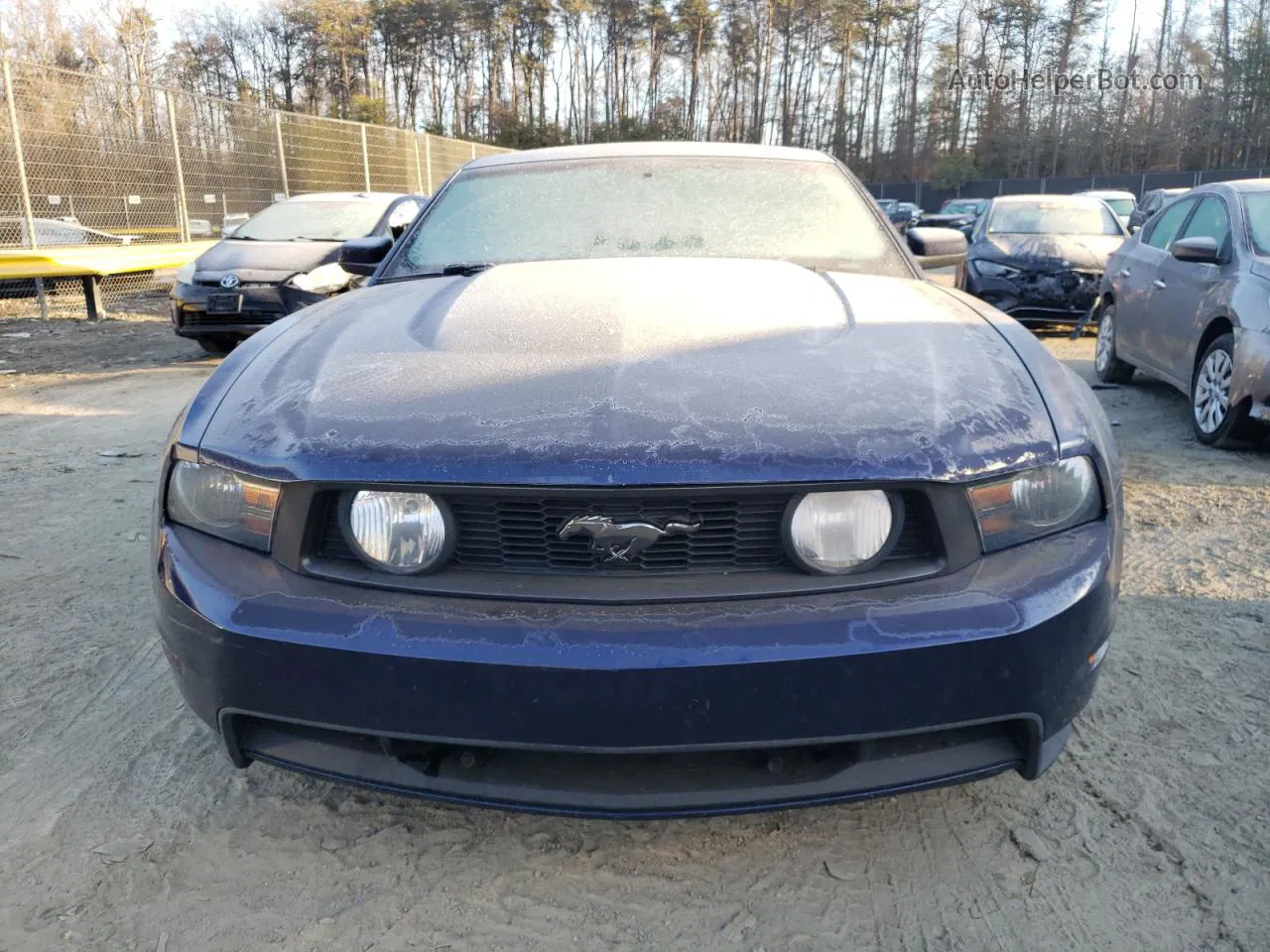 2011 Ford Mustang Gt Blue vin: 1ZVBP8CFXB5133306