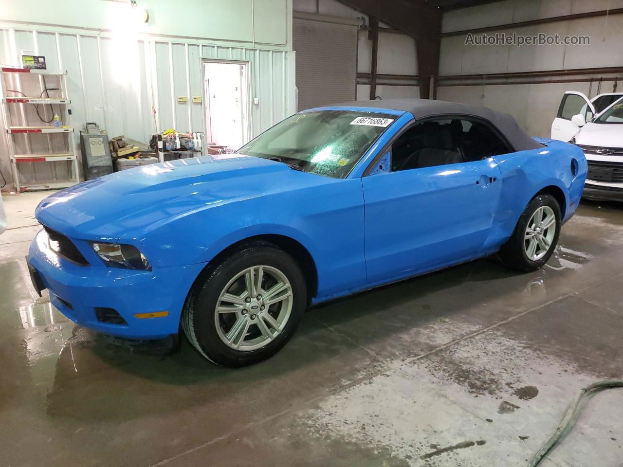 2011 Ford Mustang  Blue vin: 1ZVBP8EM0B5143645