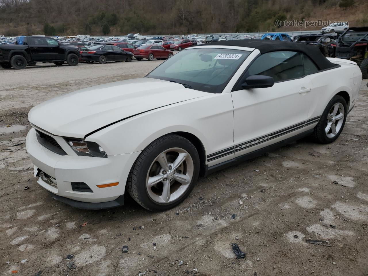 2011 Ford Mustang  White vin: 1ZVBP8EM0B5148568