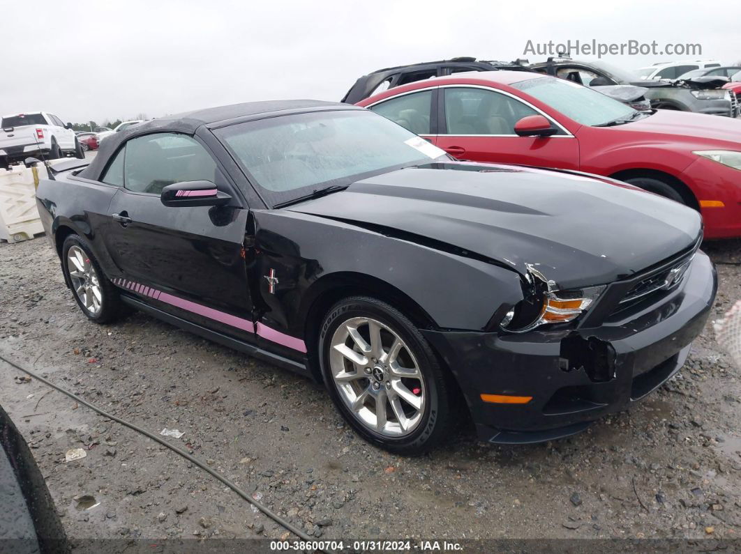 2011 Ford Mustang V6/v6 Premium Черный vin: 1ZVBP8EM0B5156895