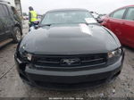 2011 Ford Mustang V6/v6 Premium Черный vin: 1ZVBP8EM0B5156895