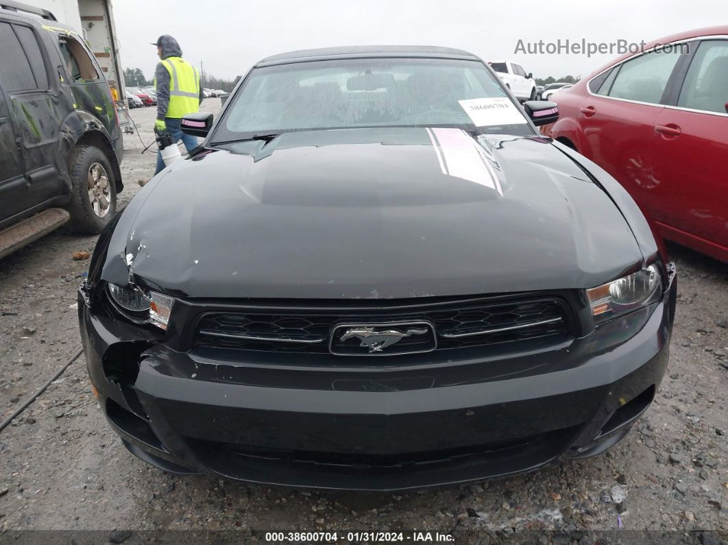 2011 Ford Mustang V6/v6 Premium Black vin: 1ZVBP8EM0B5156895