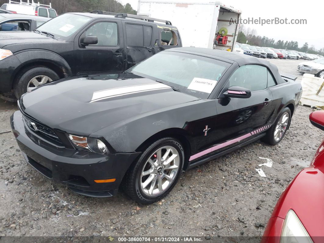 2011 Ford Mustang V6/v6 Premium Black vin: 1ZVBP8EM0B5156895