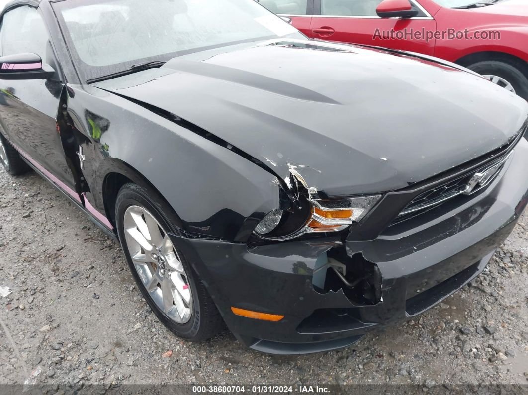 2011 Ford Mustang V6/v6 Premium Black vin: 1ZVBP8EM0B5156895