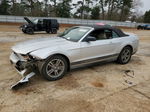 2011 Ford Mustang  Silver vin: 1ZVBP8EM1B5112386