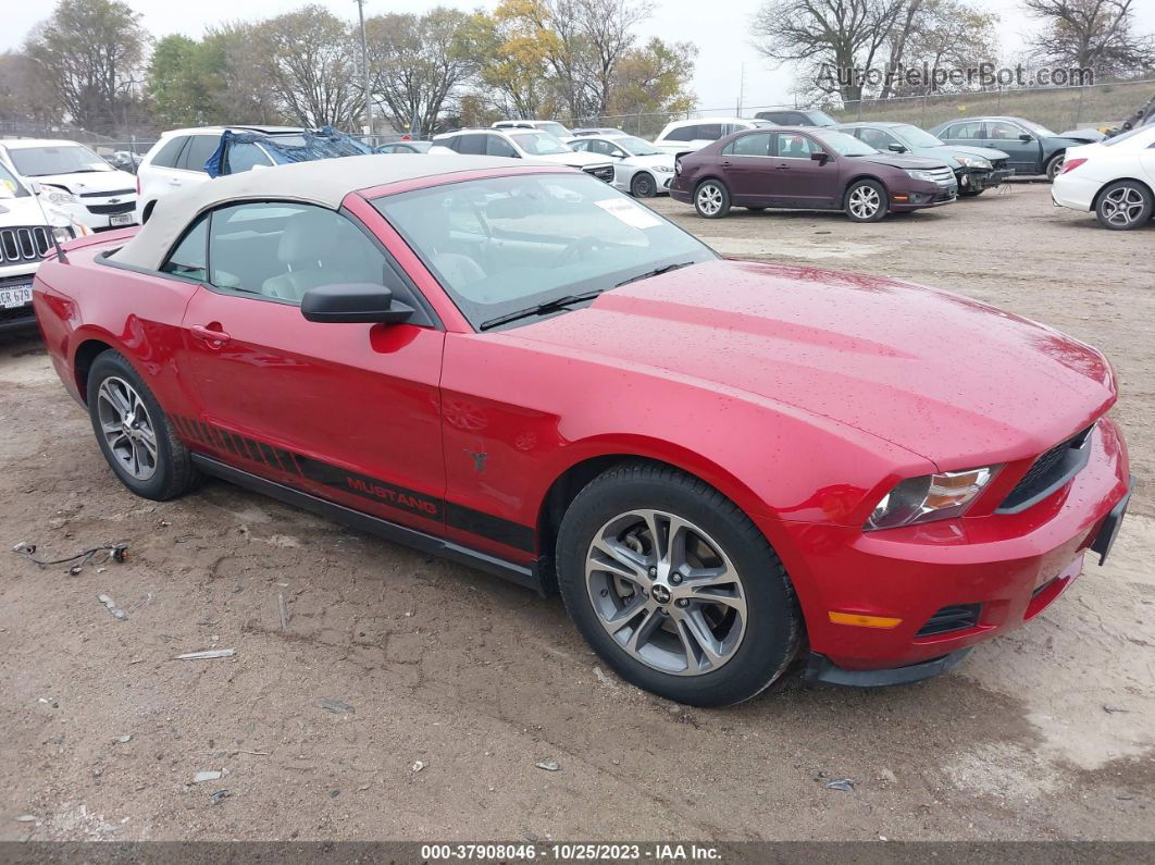 2011 Ford Mustang V6 Premium Burgundy vin: 1ZVBP8EM1B5115465