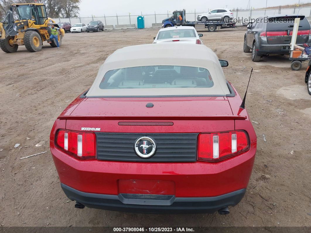 2011 Ford Mustang V6 Premium Burgundy vin: 1ZVBP8EM1B5115465