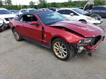 2011 Ford Mustang  Темно-бордовый vin: 1ZVBP8EM1B5121542