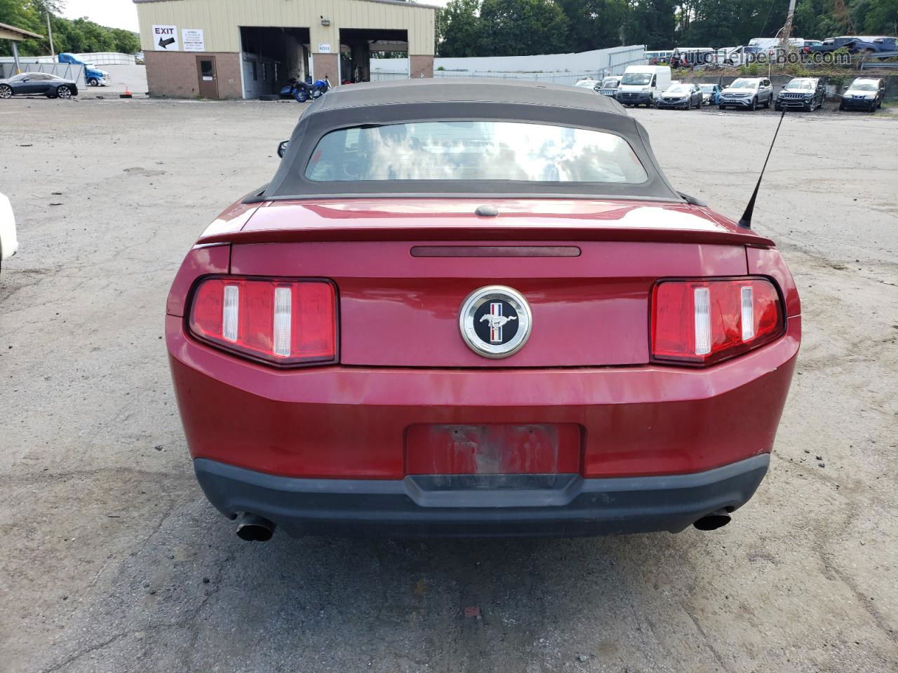 2011 Ford Mustang  Темно-бордовый vin: 1ZVBP8EM1B5121542