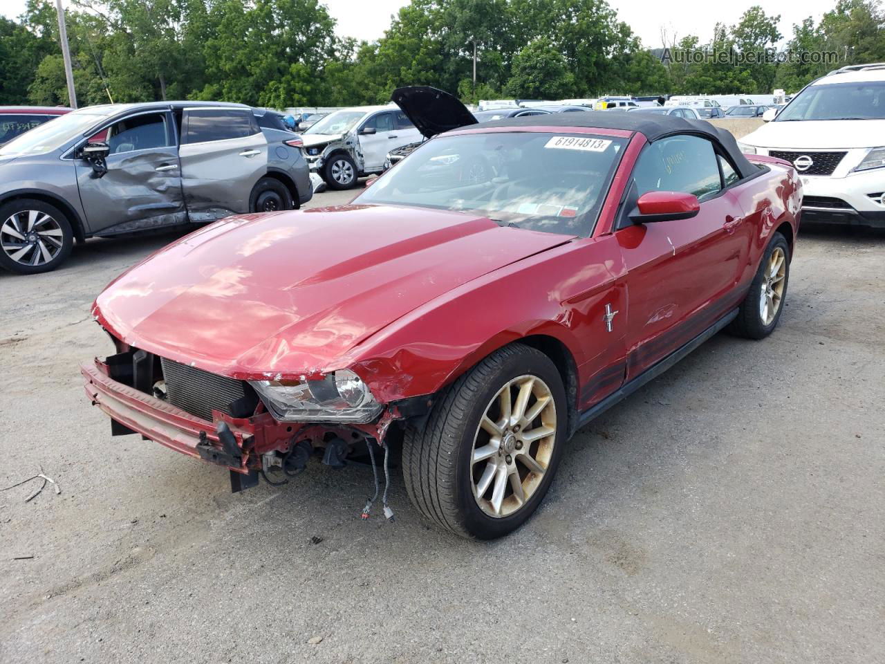 2011 Ford Mustang  Темно-бордовый vin: 1ZVBP8EM1B5121542