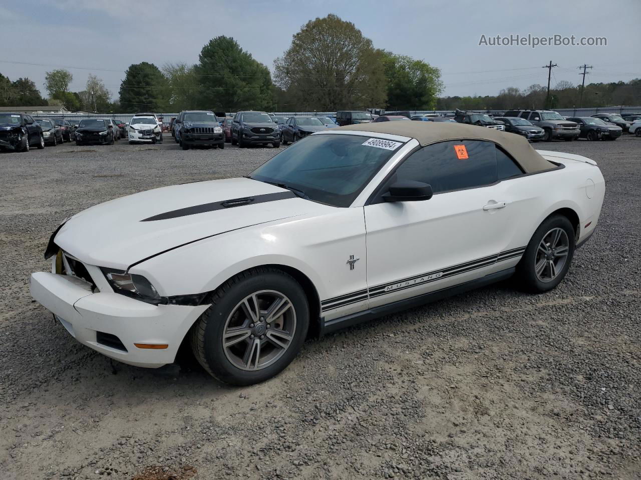 2011 Ford Mustang  White vin: 1ZVBP8EM1B5161703