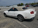 2011 Ford Mustang  White vin: 1ZVBP8EM1B5161703