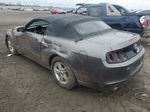 2014 Ford Mustang  Gray vin: 1ZVBP8EM1E5293252