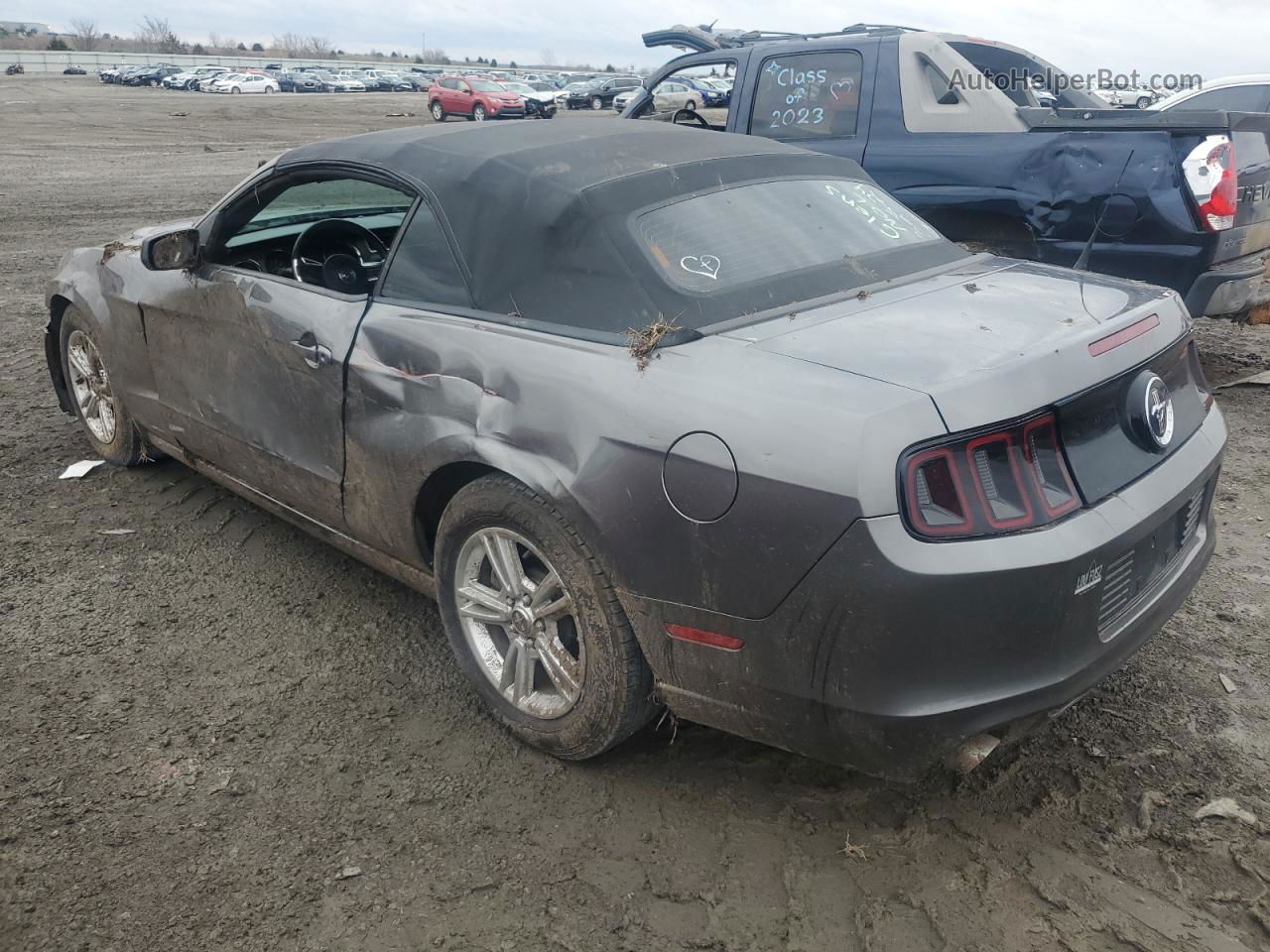 2014 Ford Mustang  Gray vin: 1ZVBP8EM1E5293252