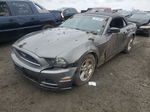 2014 Ford Mustang  Gray vin: 1ZVBP8EM1E5293252