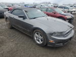 2014 Ford Mustang  Gray vin: 1ZVBP8EM1E5293252