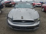 2014 Ford Mustang  Gray vin: 1ZVBP8EM1E5293252